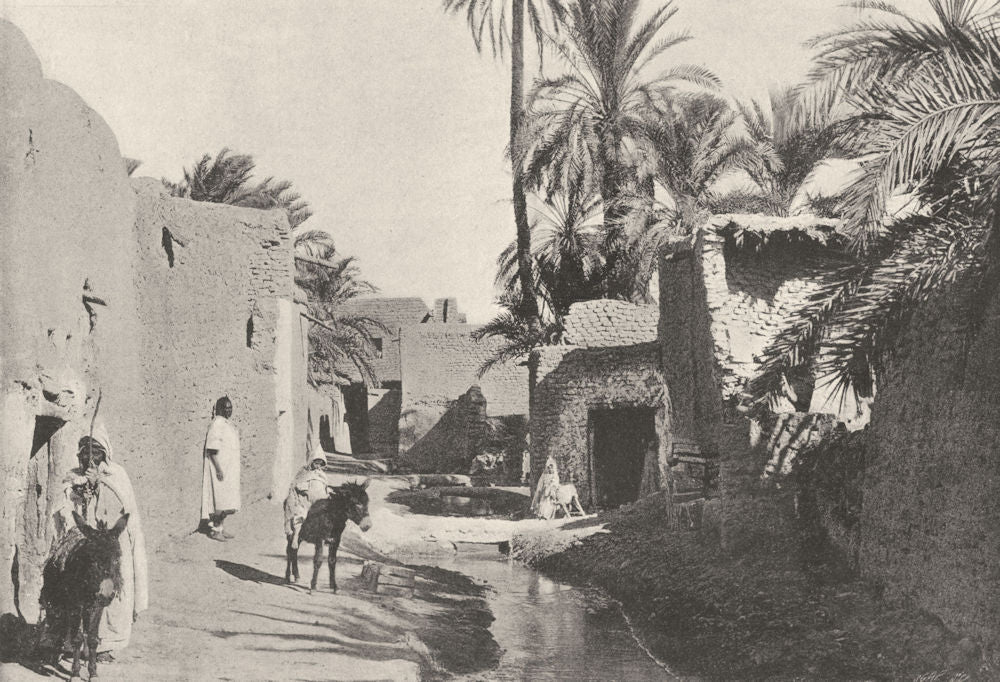 ALGERIA. Biskra. Quartier Medjenie 1895 old antique vintage print picture